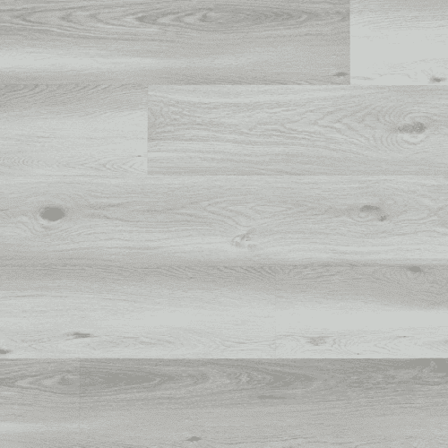 Arbiton Woodric Eir Dub Dayton CWS 201