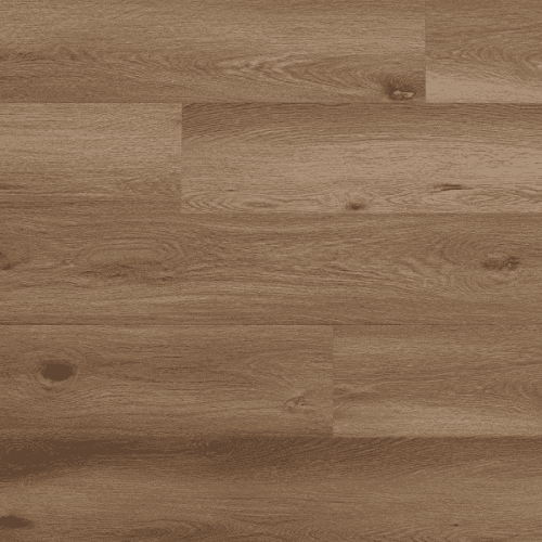 Arbiton Woodric Eir Dub Dallas CWS 211