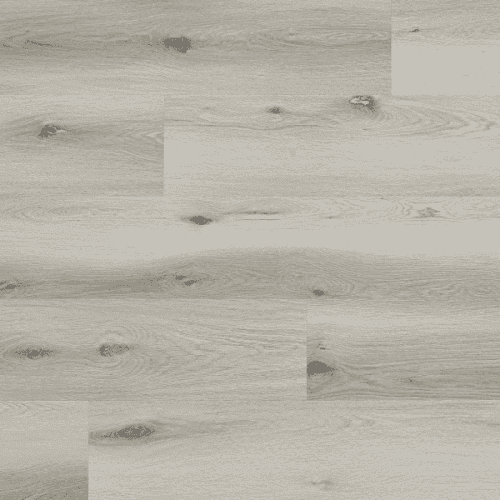 Arbiton Woodric Eir Dub Baltimore CWS 202