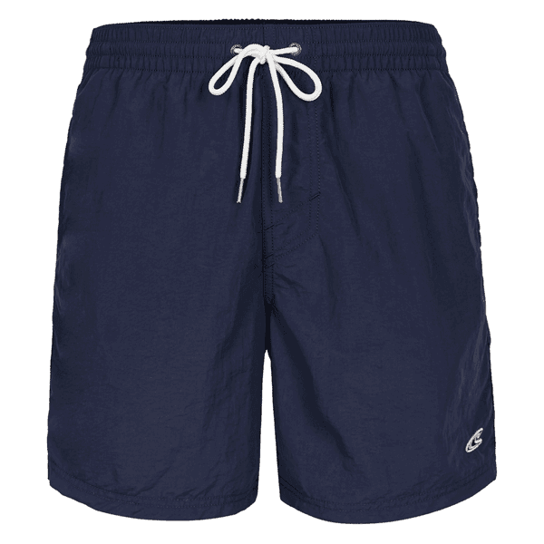 O'Neill VERT SHORTS Pánské šortky do vody, modrá, velikost L