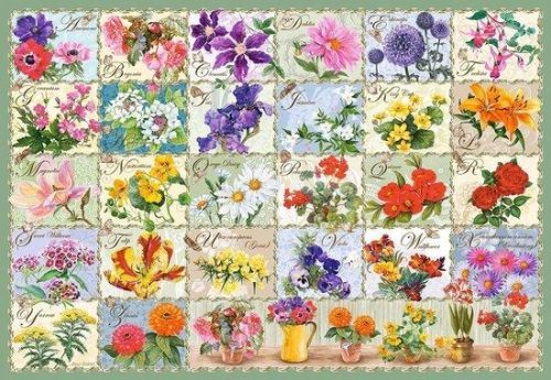 CASTORLAND Puzzle Herbář květin 1000 dílků