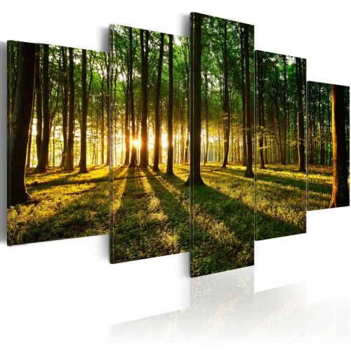 Bimago Obraz Dobrodružství v lese 100 cm x 50 cm