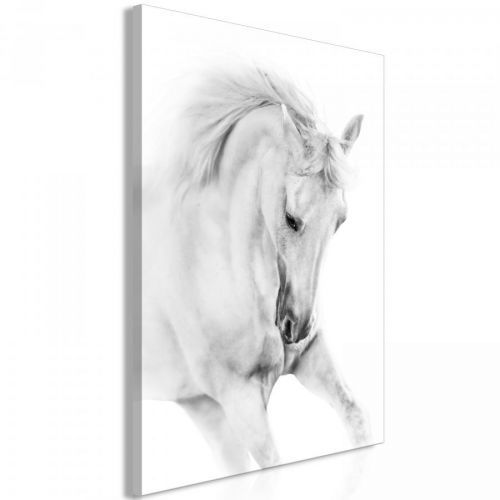 Bimago Obraz Bílý kůň 1 kus 40 cm x 60 cm