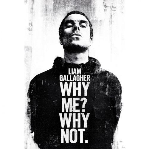 PYRAMID INTERNATIONAL Plakát, Obraz - Liam Gallagher - Why Me Why Not, ( x 61 cm)