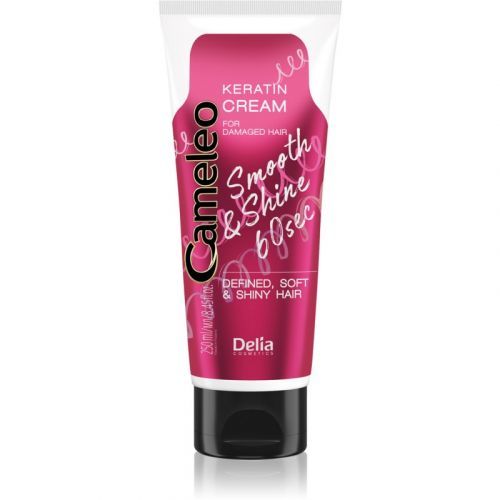 Delia Cosmetics Cameleo Smooth & Shine 60 sec krém na vlasy pro lesk a hebkost vlasů 250 ml