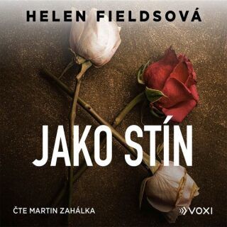 Jako stín - Helen Fieldsová - audiokniha