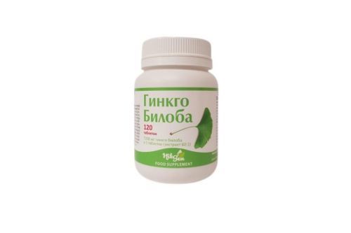 Ginkgo Biloba pro lepší paměť - Niksen- 120 tablet