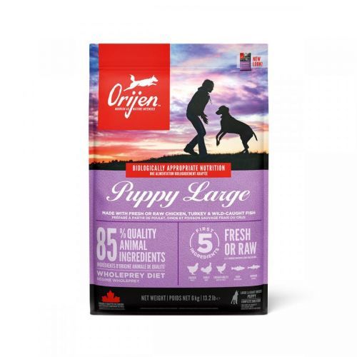 ORIJEN Dog Puppy Large Breed 6 kg