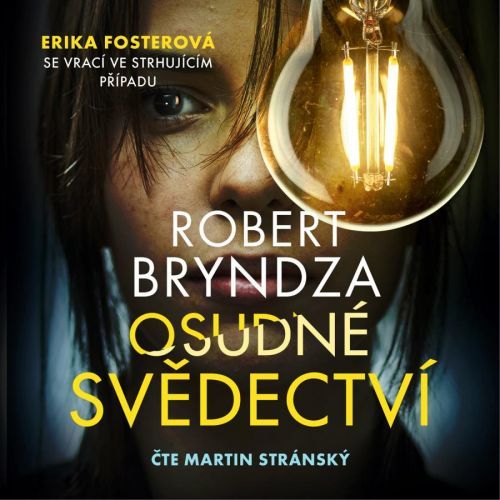 Osudné svědectví (AUDIOKNIHA CD), Bryndza Robert