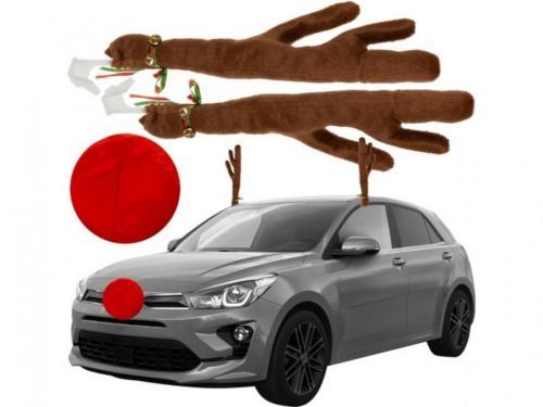 Sobí parohy a nos na auto