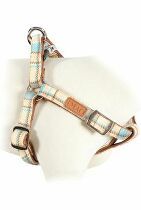 Postroj pes SCOTT nastavitelný modrý 25mm Zolux