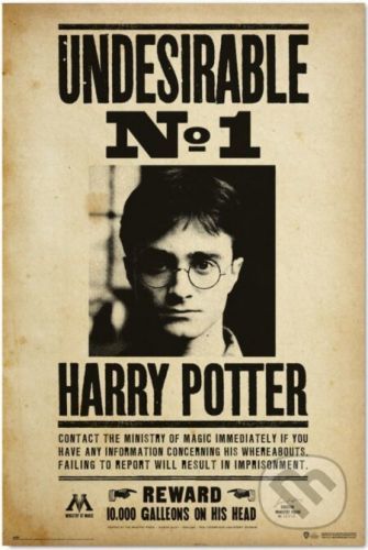Plagát Harry Potter: Nežiadúci No.1 - Harry Potter
