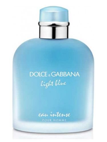 Dolce & Gabbana Light Blue Eau Intense Pour Homme parfémová voda pro muže 100 ml
