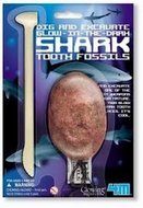 Vykopávka - svítící žraločí zub