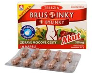 TEREZIA BrusLinky AKUT cps.10