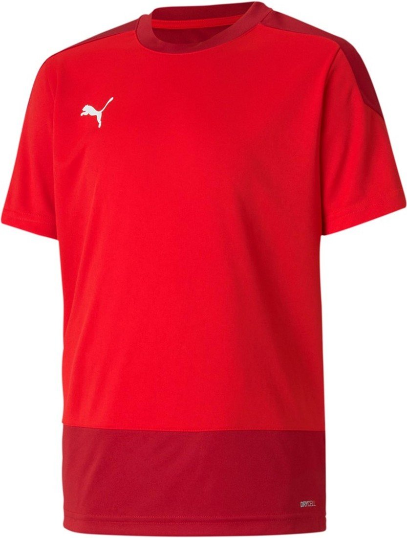 Dres Puma teamGOAL 23 Training Jersey