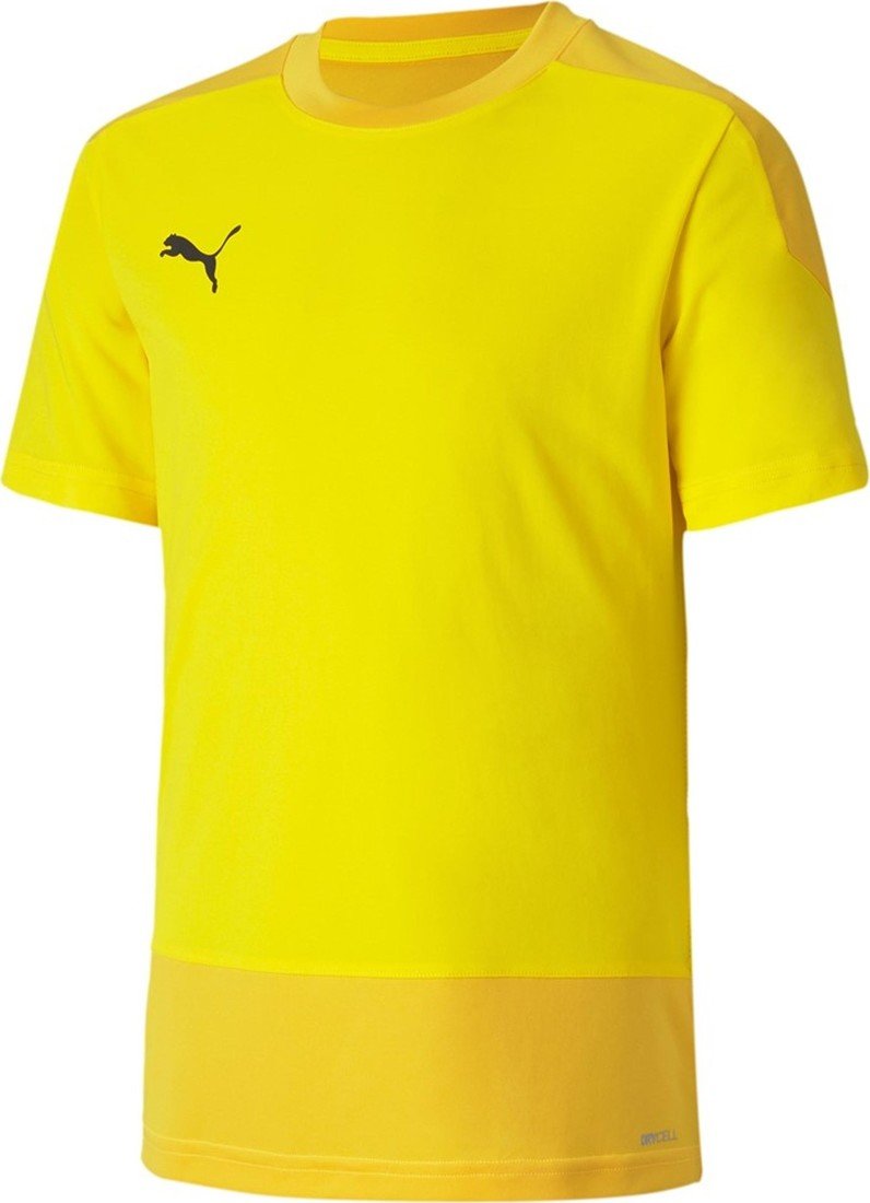 Dres Puma teamGOAL 23 Training