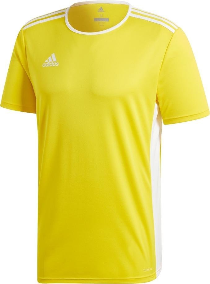 Dres adidas ENTRADA 18 JSY