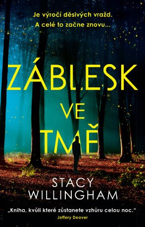 Záblesk ve tmě - Willingham Stacy - e-kniha