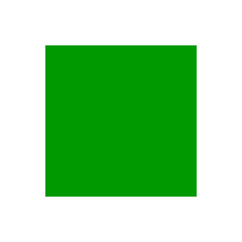 FOMEI SLS HT 139 - Primary Green 61x53cm, studiový filtr