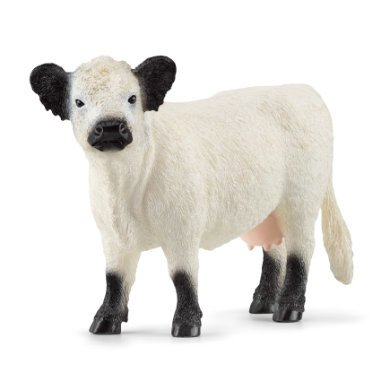 schleich ® Galloway kráva 13960