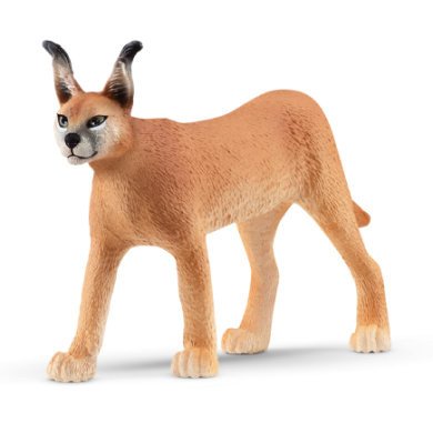 schleich ® Caracal fena 14867