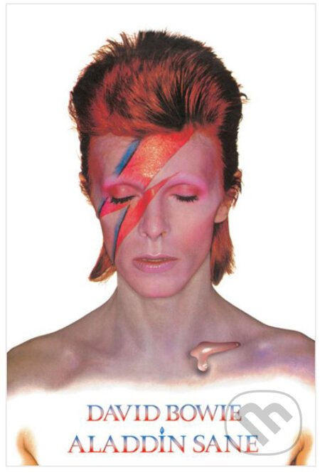 Plagát David Bowie: Aladdin Sane