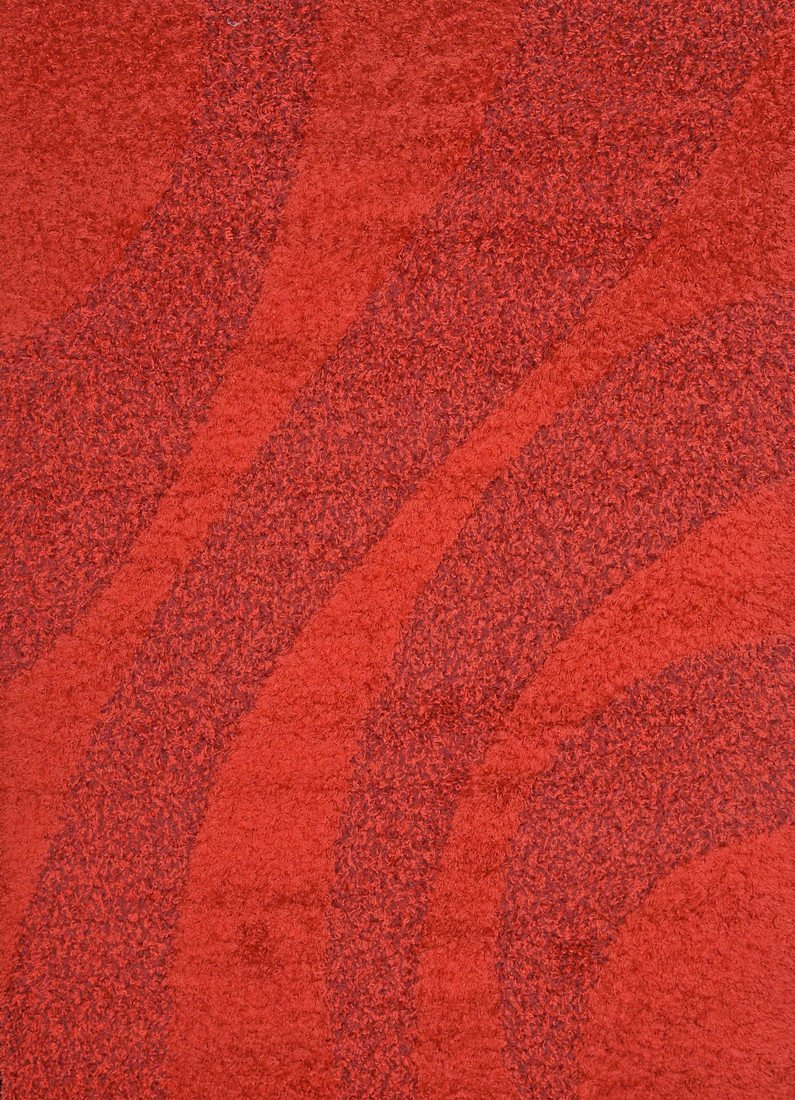 Mujkoberec.cz DOPRODEJ: 200x290 cm Výprodej: Kusový koberec Super Shaggy 6569-31 - 200x290 cm Červená
