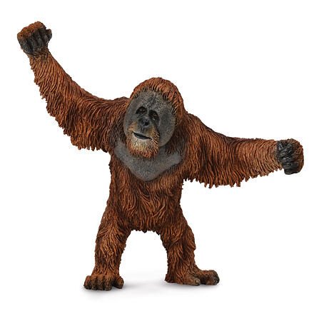 Collecta Orangutan
