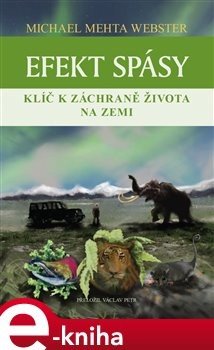 Efekt spásy - Michael Mehta Webster