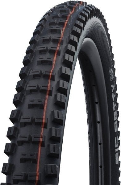 Schwalbe Big Betty 29/28