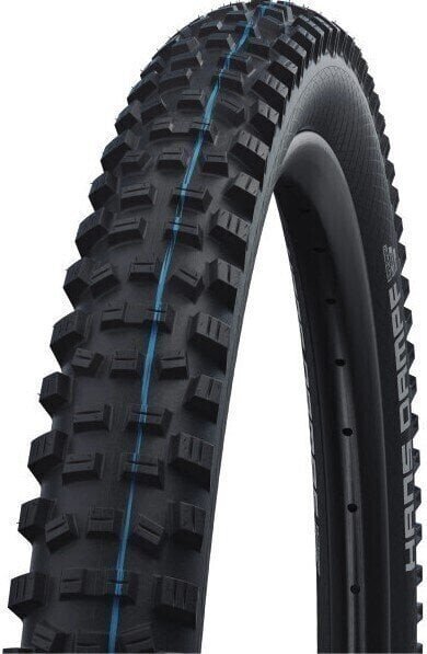 Schwalbe Tire Lugano II 29