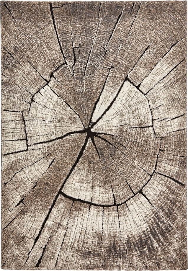 Béžový koberec 230x160 cm Woodland - Think Rugs