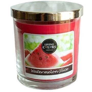 CANDLE LITE Living Colors WATERMELON SLICE 141 g