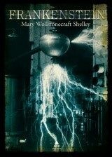 Frankenstein (Defekt) - Mary W. Shelley