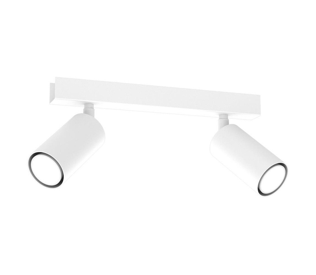 Bodové svítidlo HUDSON 2xGU10/8W/230V bílá