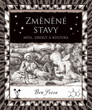 Změněné stavy - Ben Sessa - e-kniha