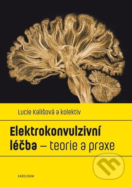 Elektrokonvulzivní léčba – teorie a praxe - Lucie Kališová