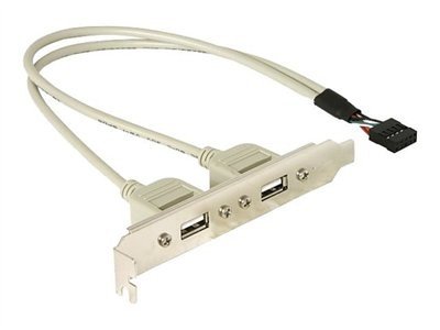 Delock - Panel USB - USB záhlaví 10 pinů (M) do USB (F) - 30 cm