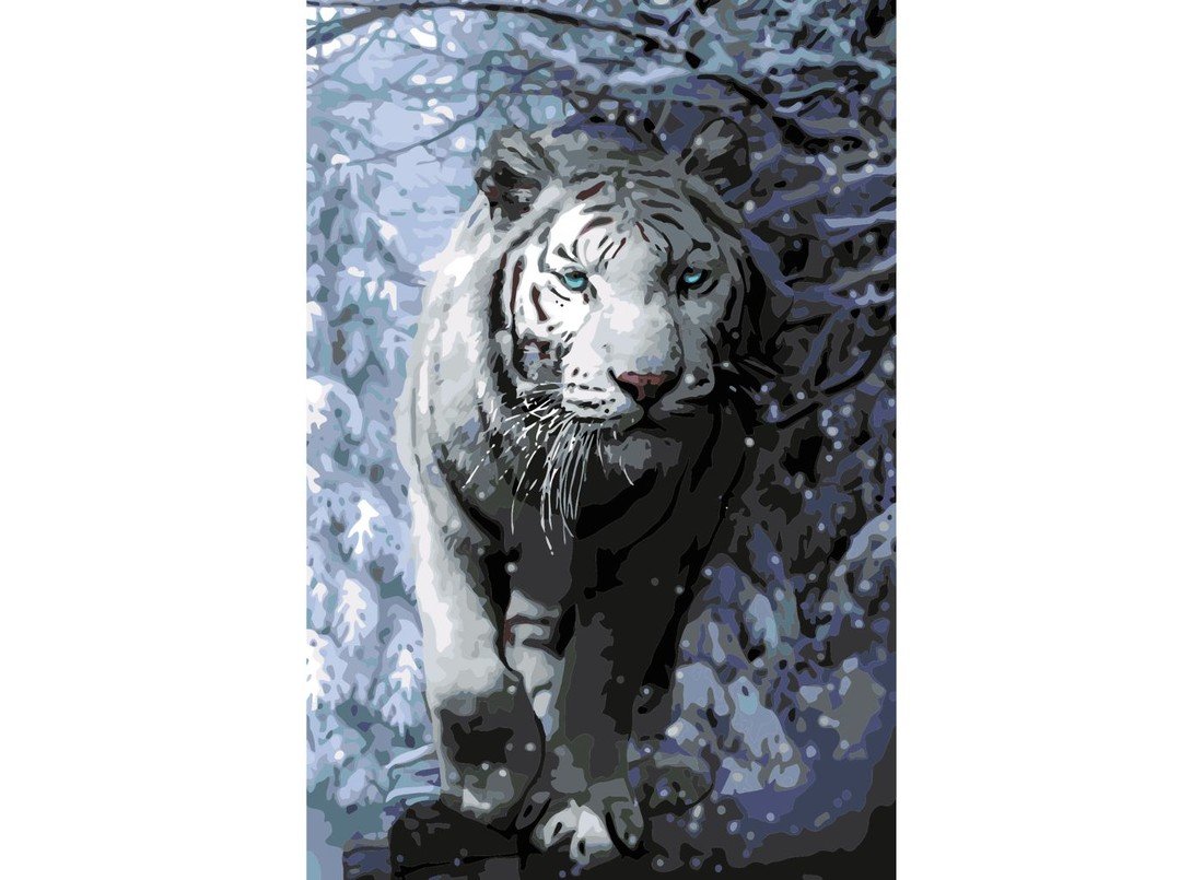 MALUJEŠ Malování podle čísel - AGNIESZKA MLECZEK - MAJESTÁTNÍ BÍLÝ TYGR Rozměr: 40x60 cm, Rámování: bez rámu a bez vypnutí plátna