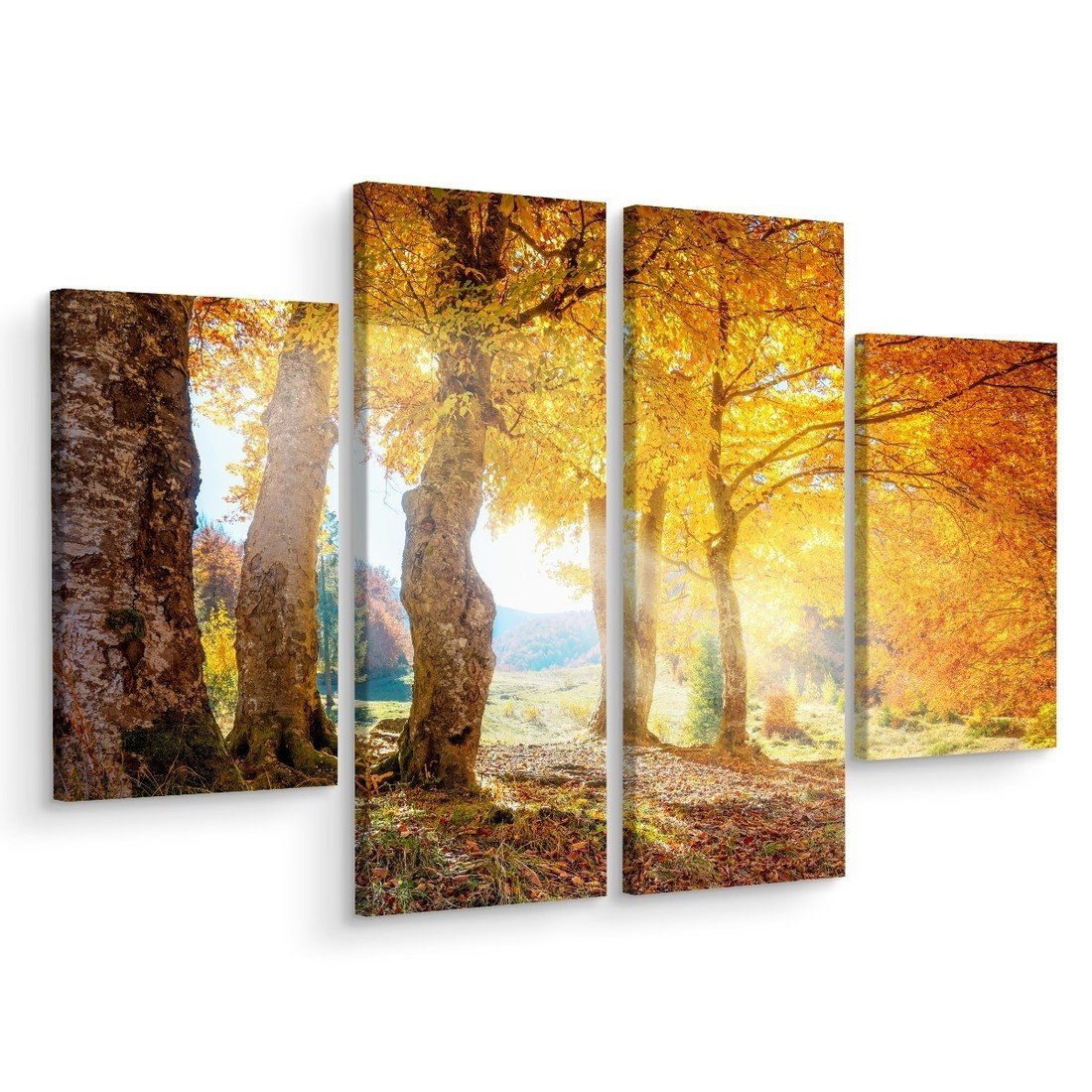 MyBestHome BOX Vícedílné plátno Slunečný Podzimní Les Varianta: 60x80