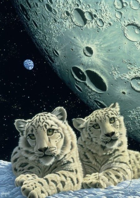 Schim Schimmel - Lair of the Snow Leopard - Grafika