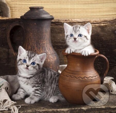 Kitten in Pot - Grafika