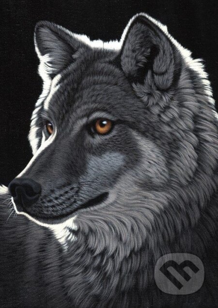 Schim Schimmel - Night Wolf - Grafika