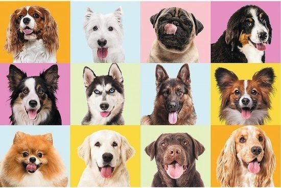 TREFL Puzzle Roztomilí pejsci 60 dílků