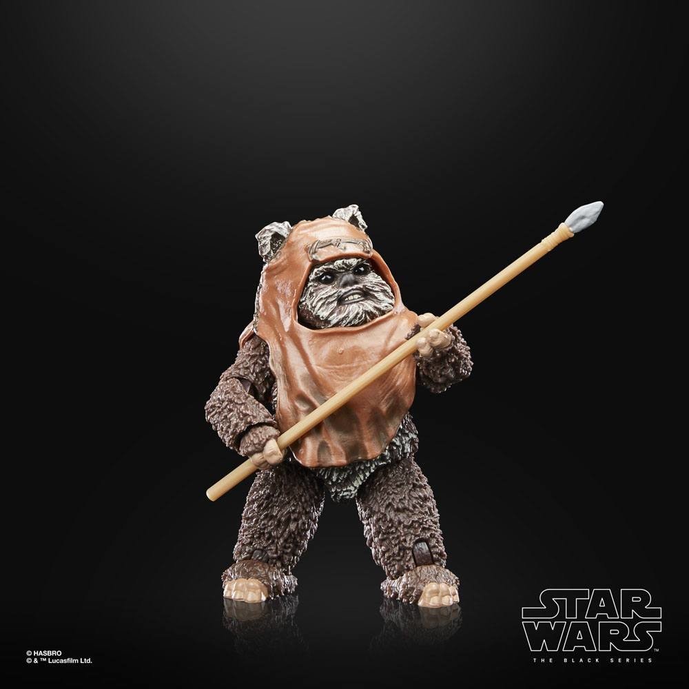 Hasbro | Star Wars Episode VI - sběratelská figurka Wicket 40th Anniversary (Black Series) 15 cm