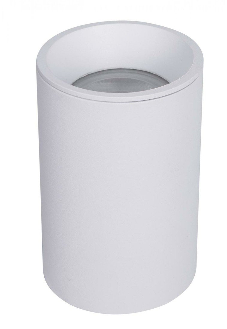 MAYTONI Stropní svítidlo Zoom C029CL-01-S-W