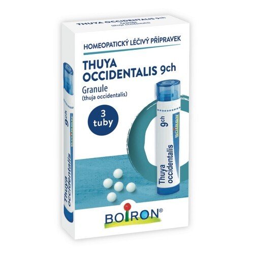 Thuya Occidentalis 9CH gra.3x4g