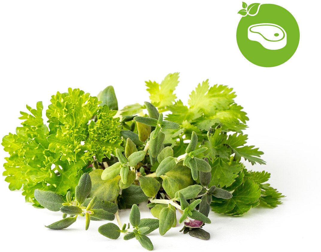 Click and Grow Smart Garden sazenice mix steak&grill - PCW-006