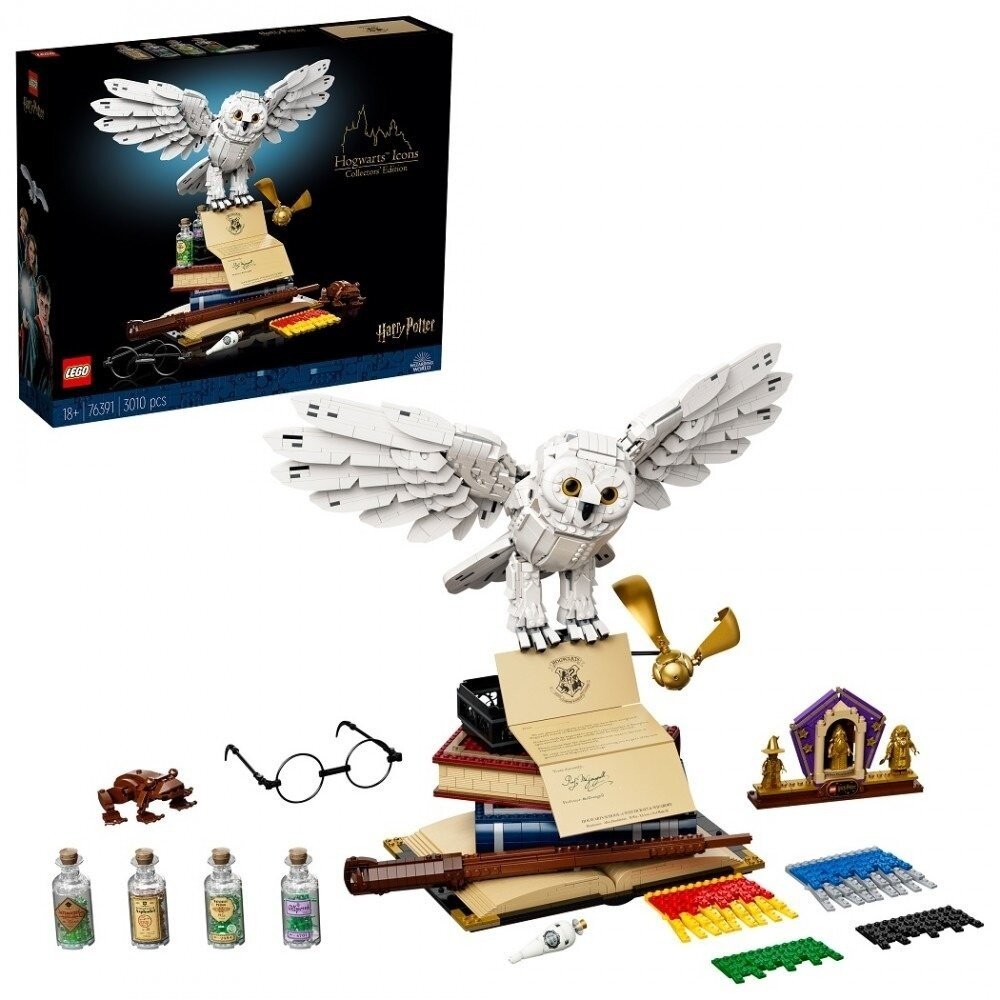 LEGO® Harry Potter™ 76391 Bradavická výbava – sběratelská edice - 76391